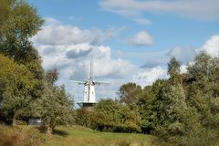 Windmühle in Veere