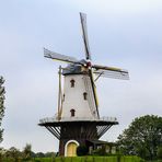Windmühle in Veere, NL