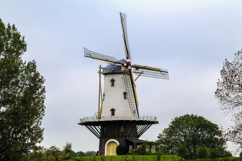 Windmühle in Veere, NL