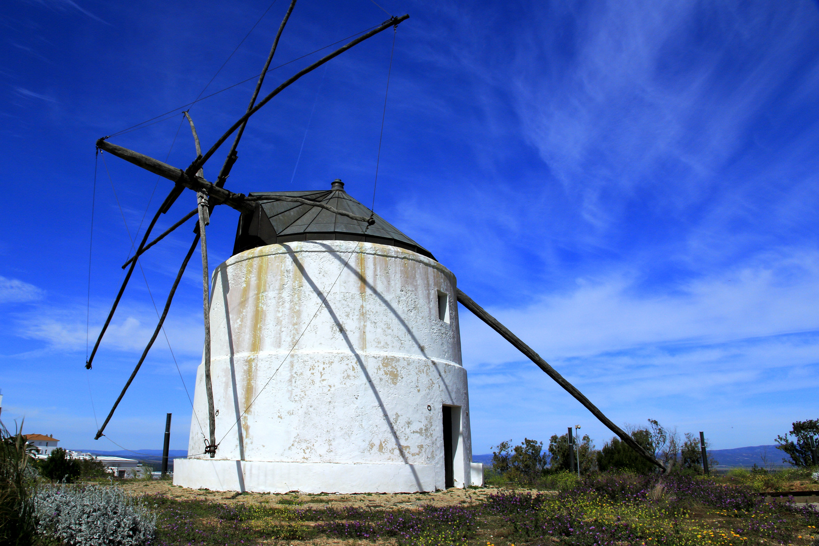 Windmühle in Vejer de la Frontera