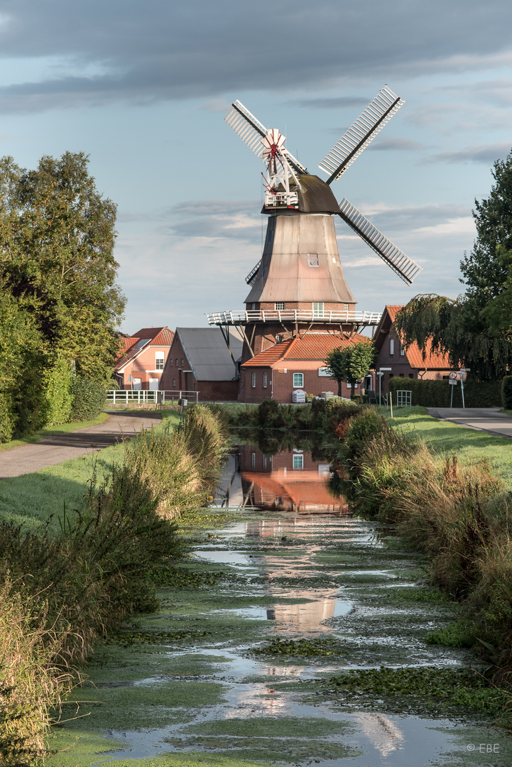 Windmühle in Warsingsfehn