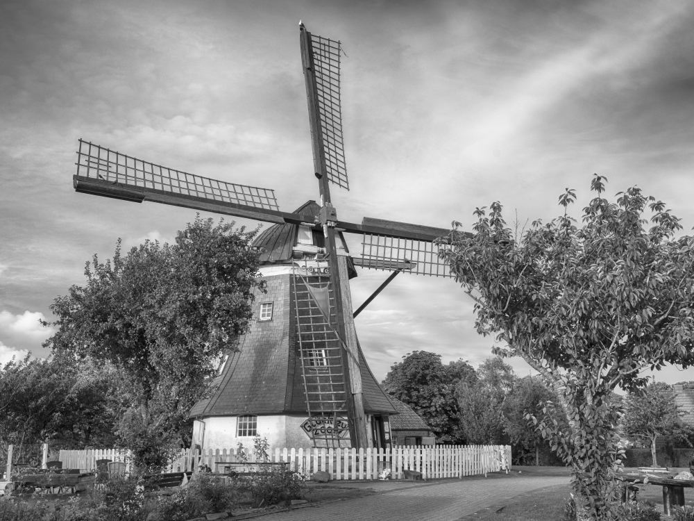 Windmühle in Werdum