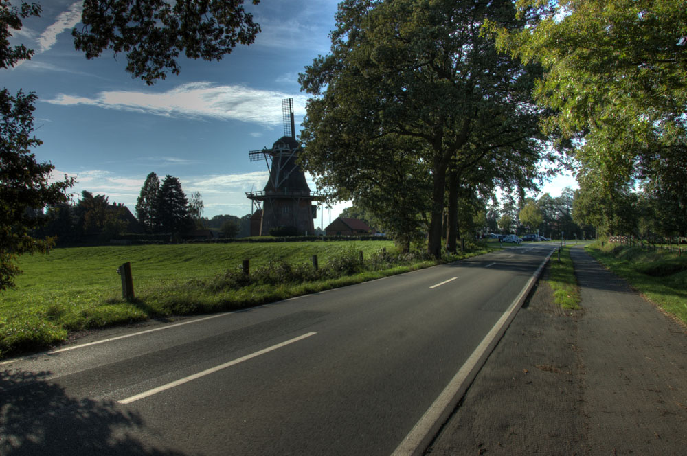 Windmühle  in Westerscheps