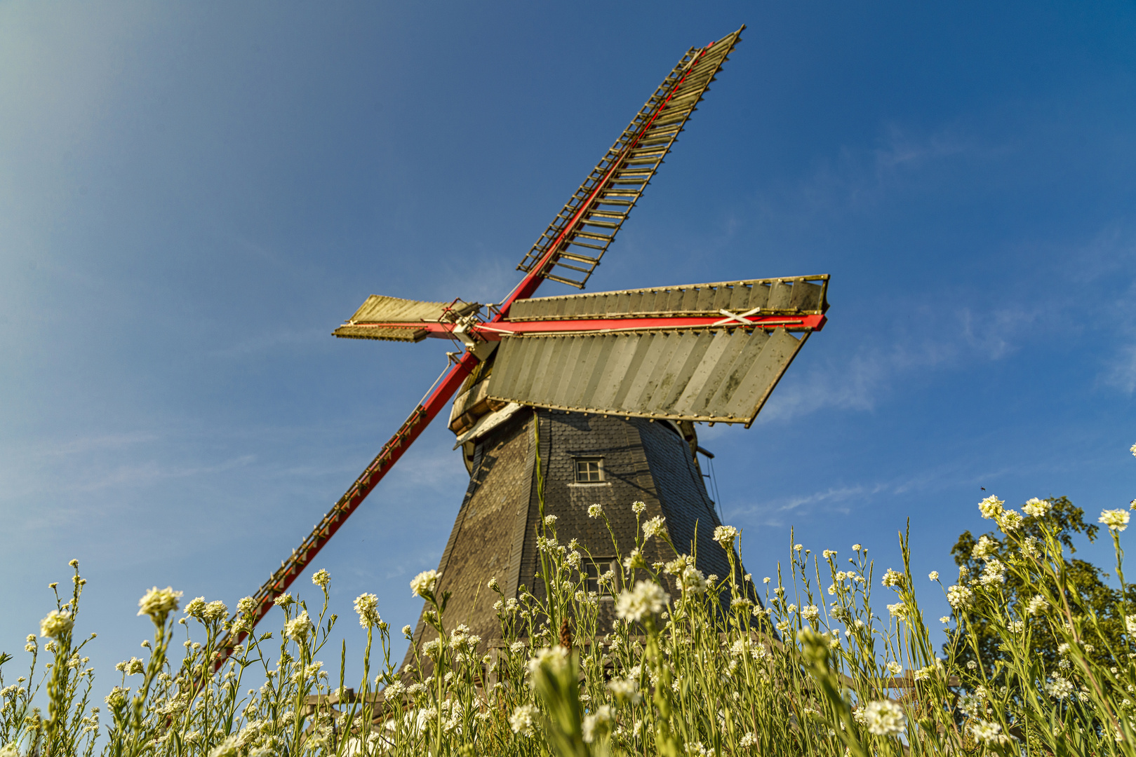 Windmühle in Worpswede, 2019.06.11