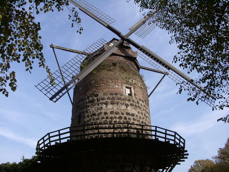 Windmühle in Zons