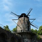 Windmühle in Zons