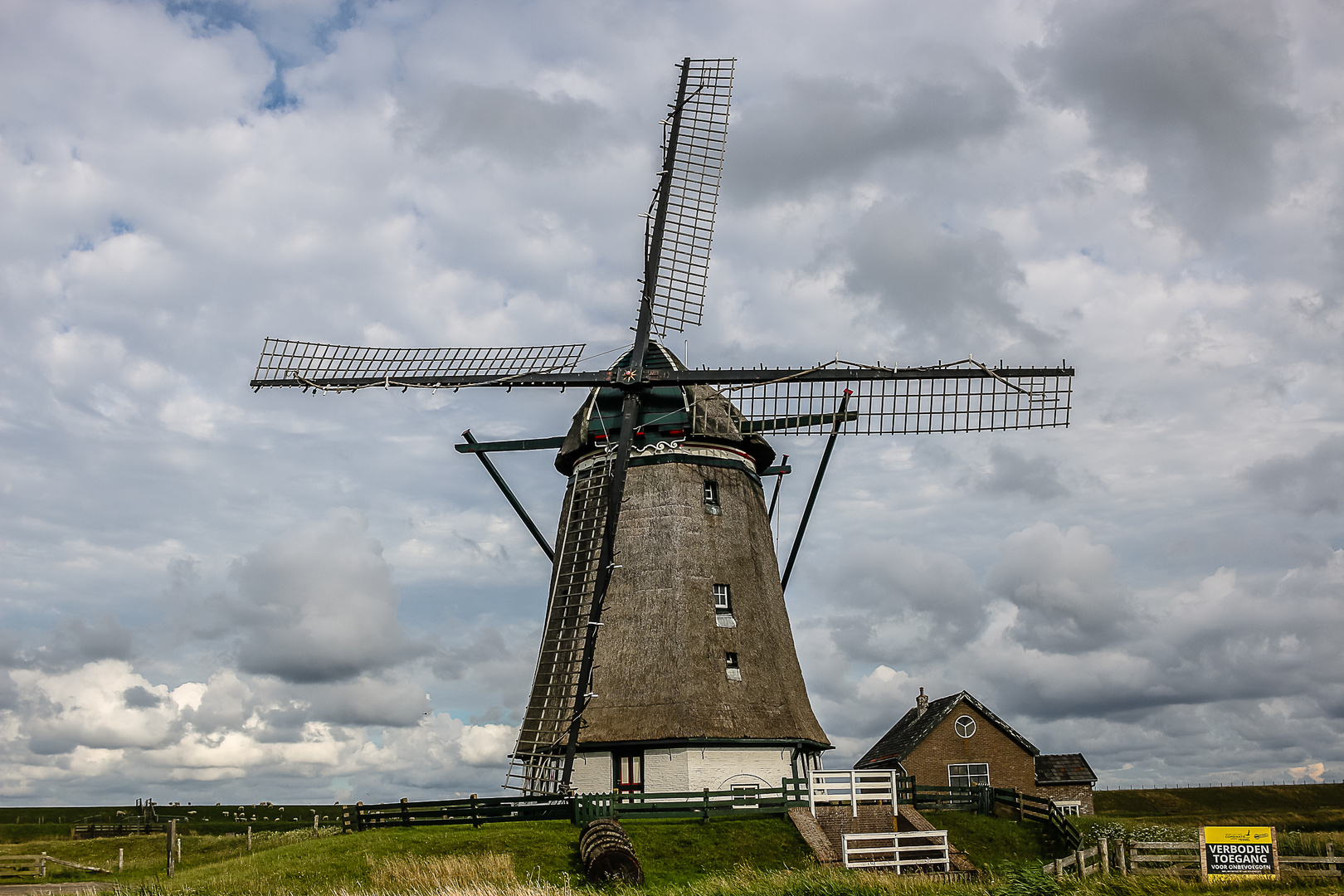 Windmühle, Insel Texel