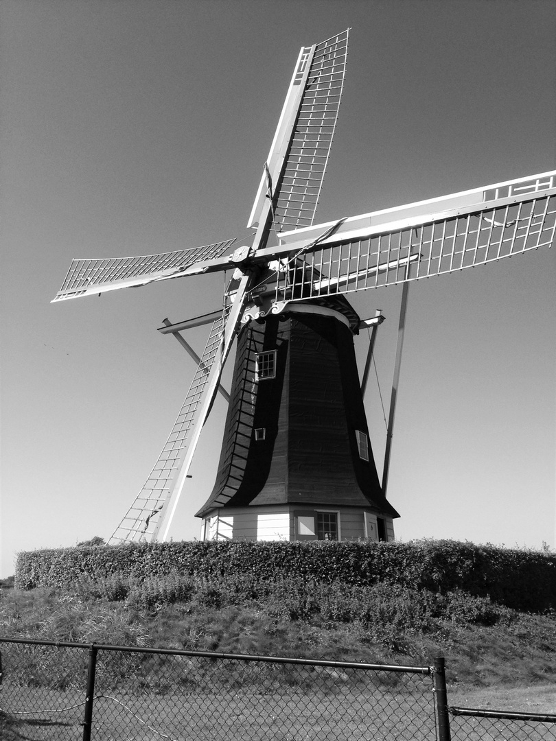 Windmühle "Jonge Johannes"