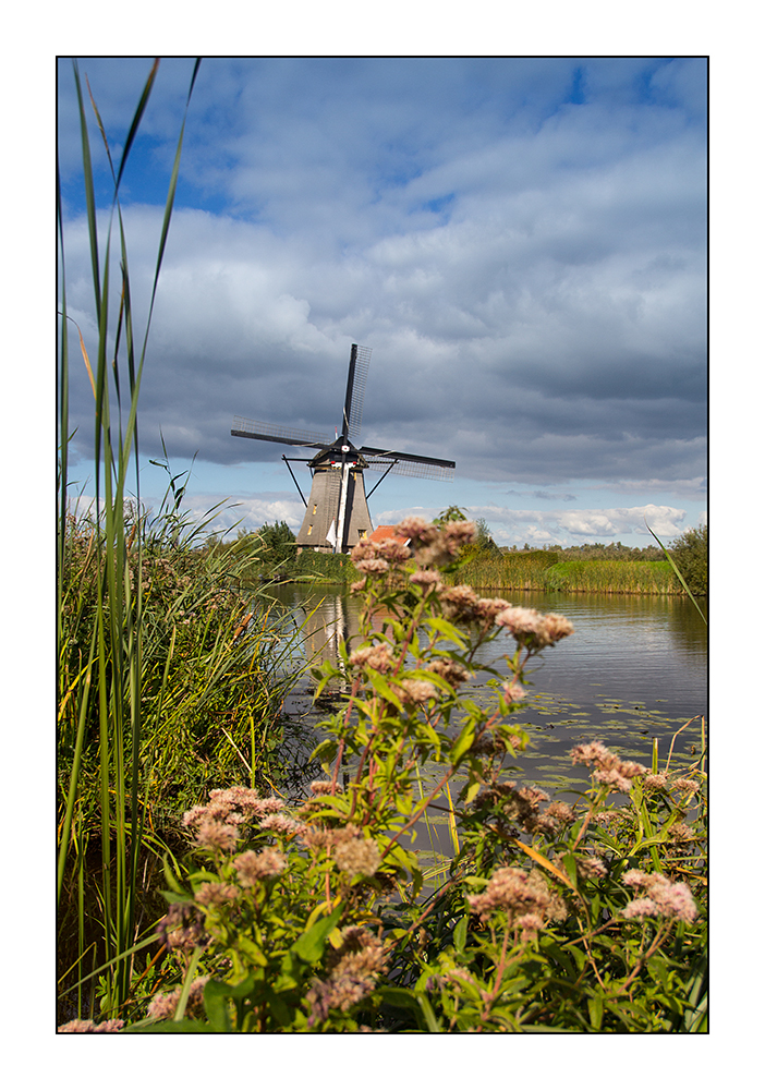 Windmühle (Kinderdijk)