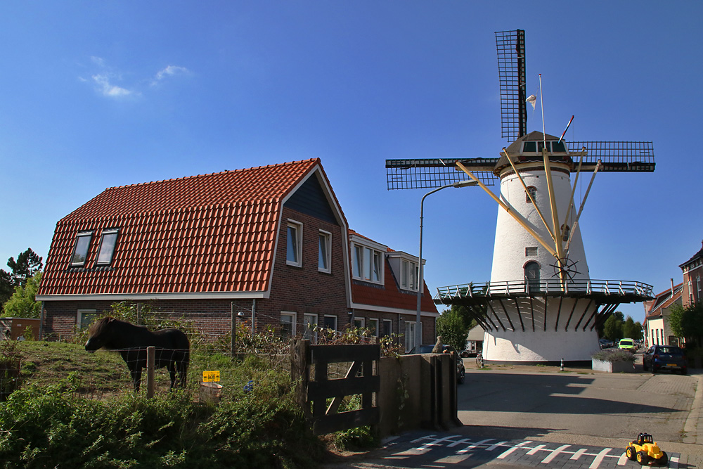 Windmühle 'Korenlus in Stellendam