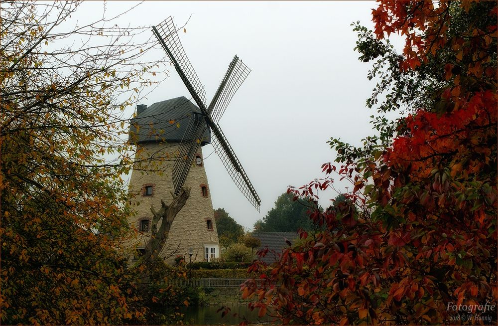 Windmühle Laer