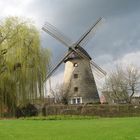 Windmühle Laer