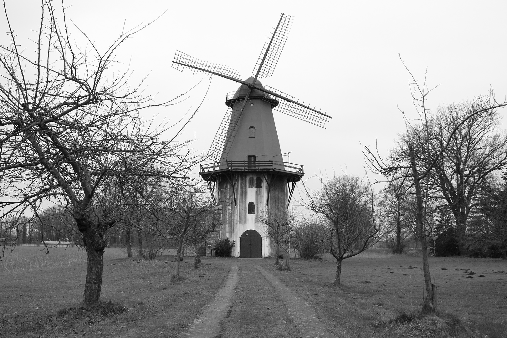 Windmühle Lavelsloh/Diepenau