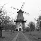 Windmühle Lavelsloh/Diepenau