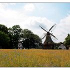 Windmühle Levern