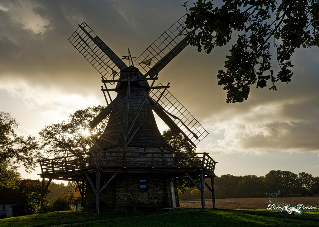 Windmühle Levern im Sonnenuntergang
