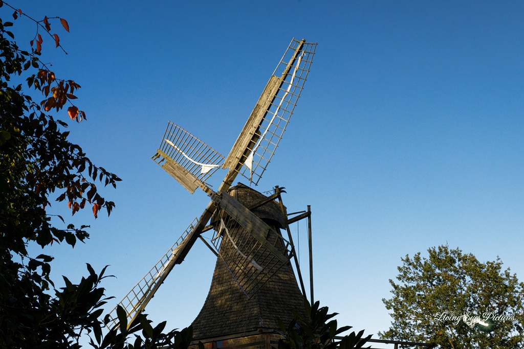 Windmühle Levern von Bäumen umrandet