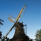 Windmühle Levern von Bäumen umrandet