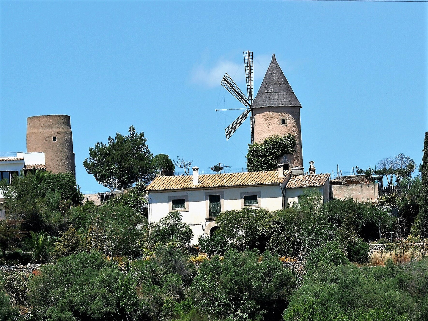 Windmühle Mallorca