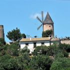 Windmühle Mallorca