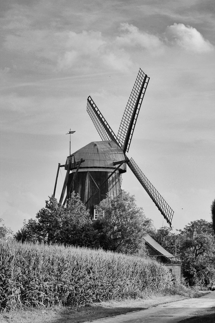 Windmühle Menke in Südlohn