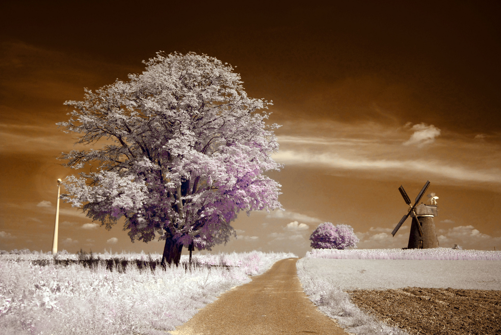 Windmühle mit IR-Filter