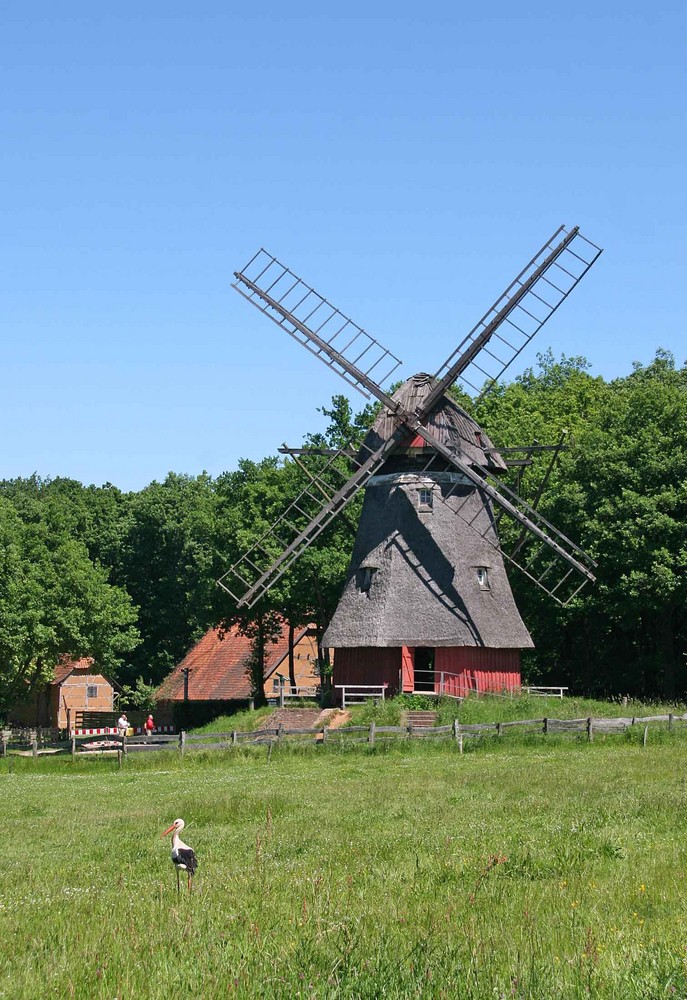 Windmühle mit Storch