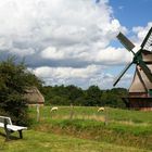 Windmühle Molfsee