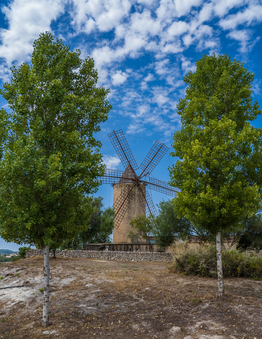 Windmühle Montuiri