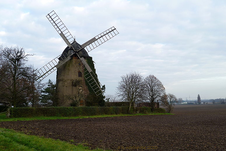 Windmühle Niederndodeleben im Spätherbst