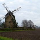 Windmühle Niederndodeleben im Spätherbst