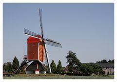 Windmühle "Nieuwe Leven" in Leut (Maasmechelen