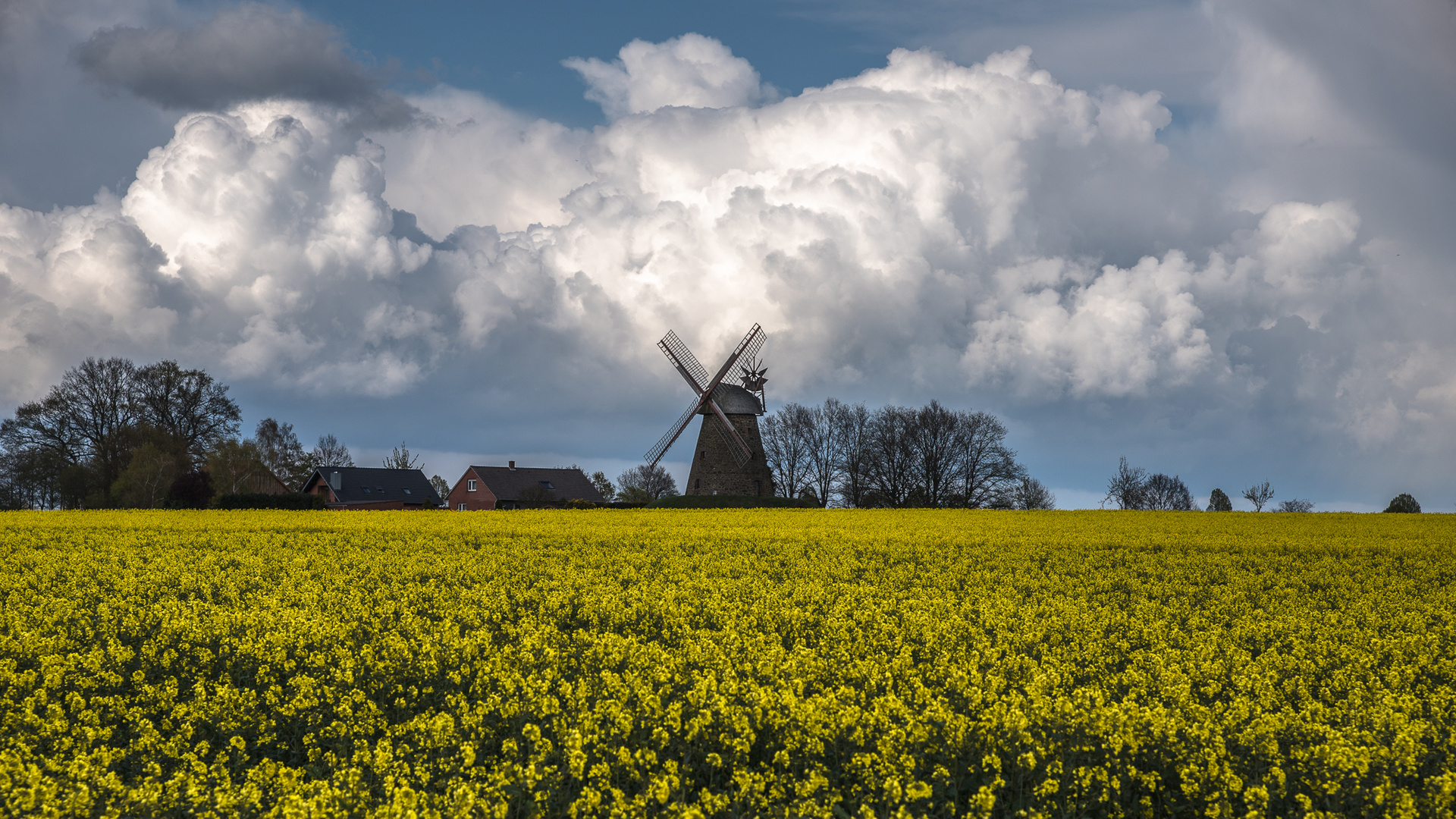 Windmühle Nordhemmern