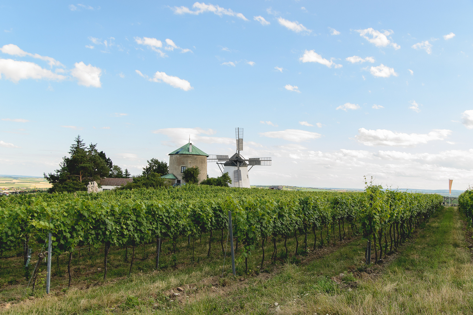 Windmühle Retz