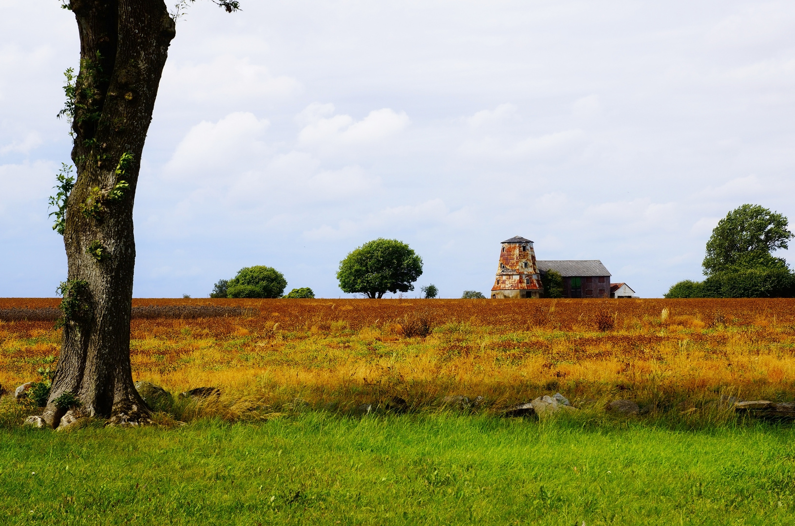 Windmühle Ruine