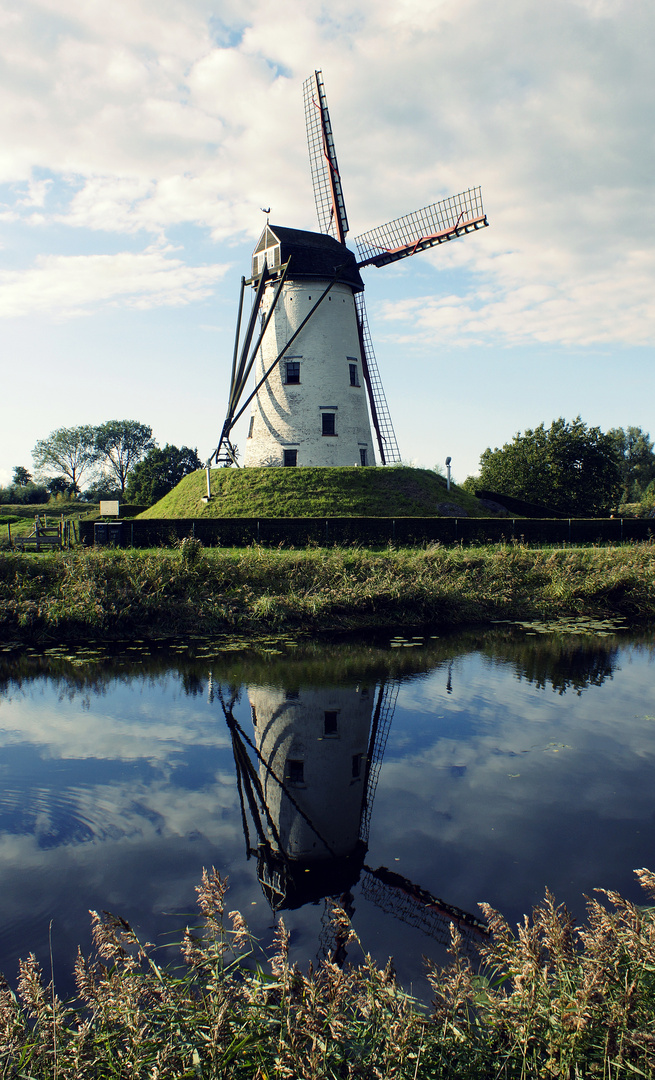 Windmühle Sluis