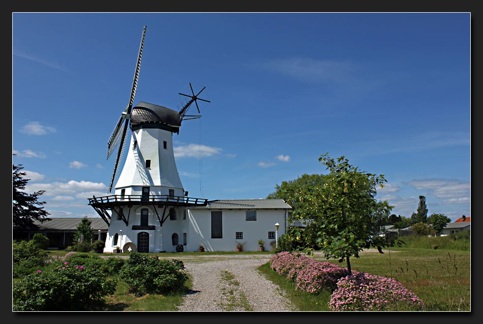 Windmühle Steinadler