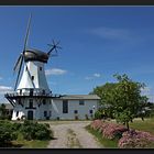 Windmühle Steinadler