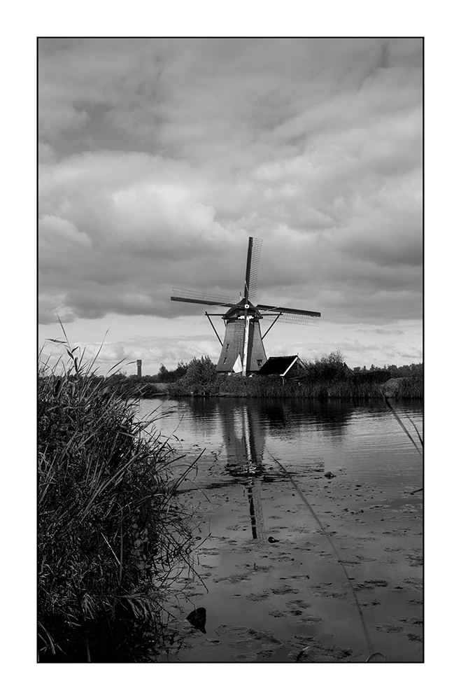 Windmühle SW (Kinderdijk)
