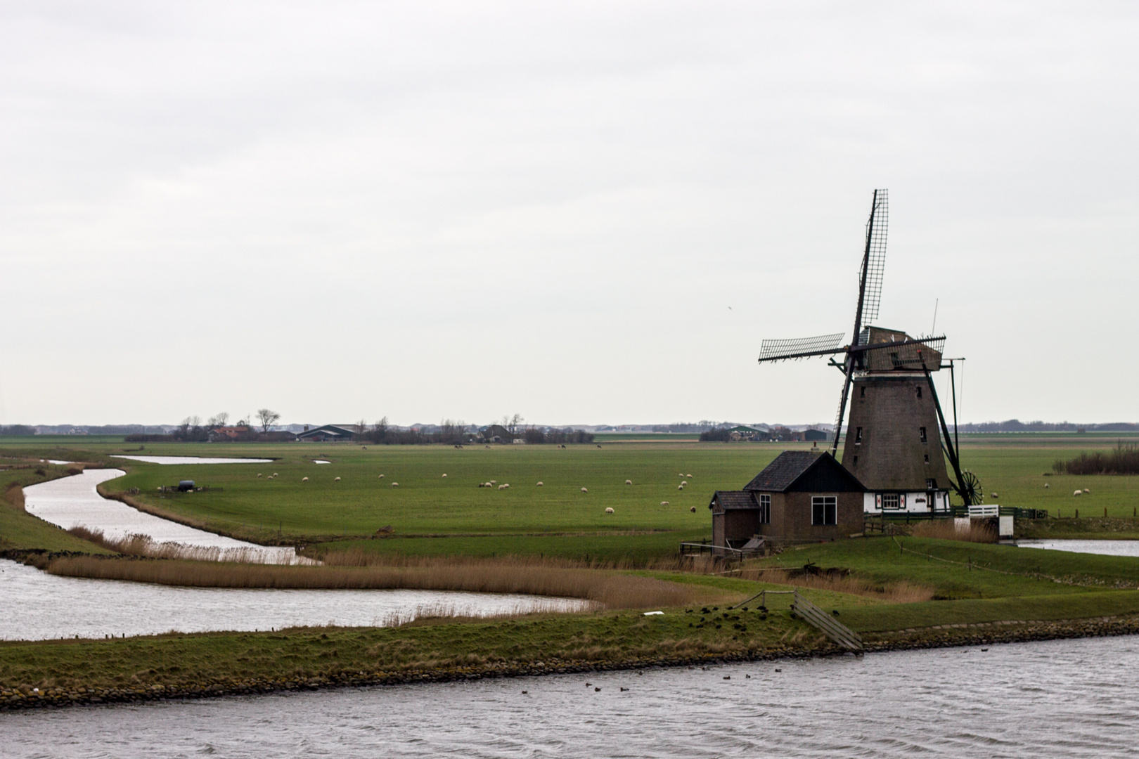 Windmühle / Texel