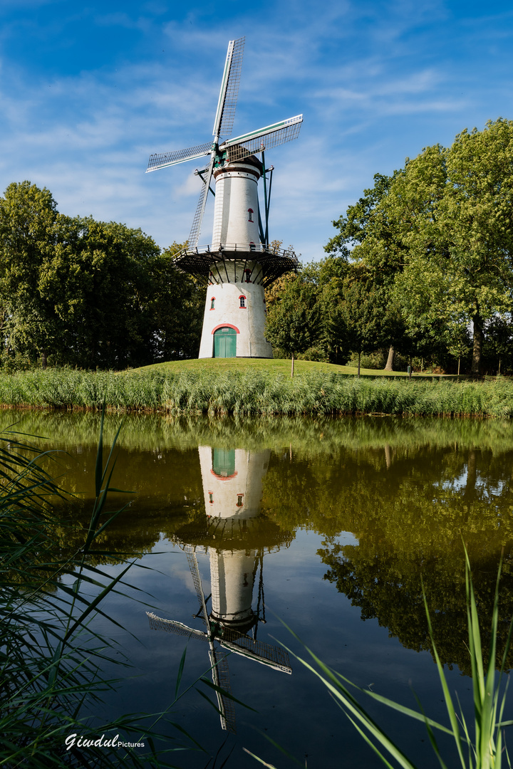 Windmühle Tholen, Niederlande