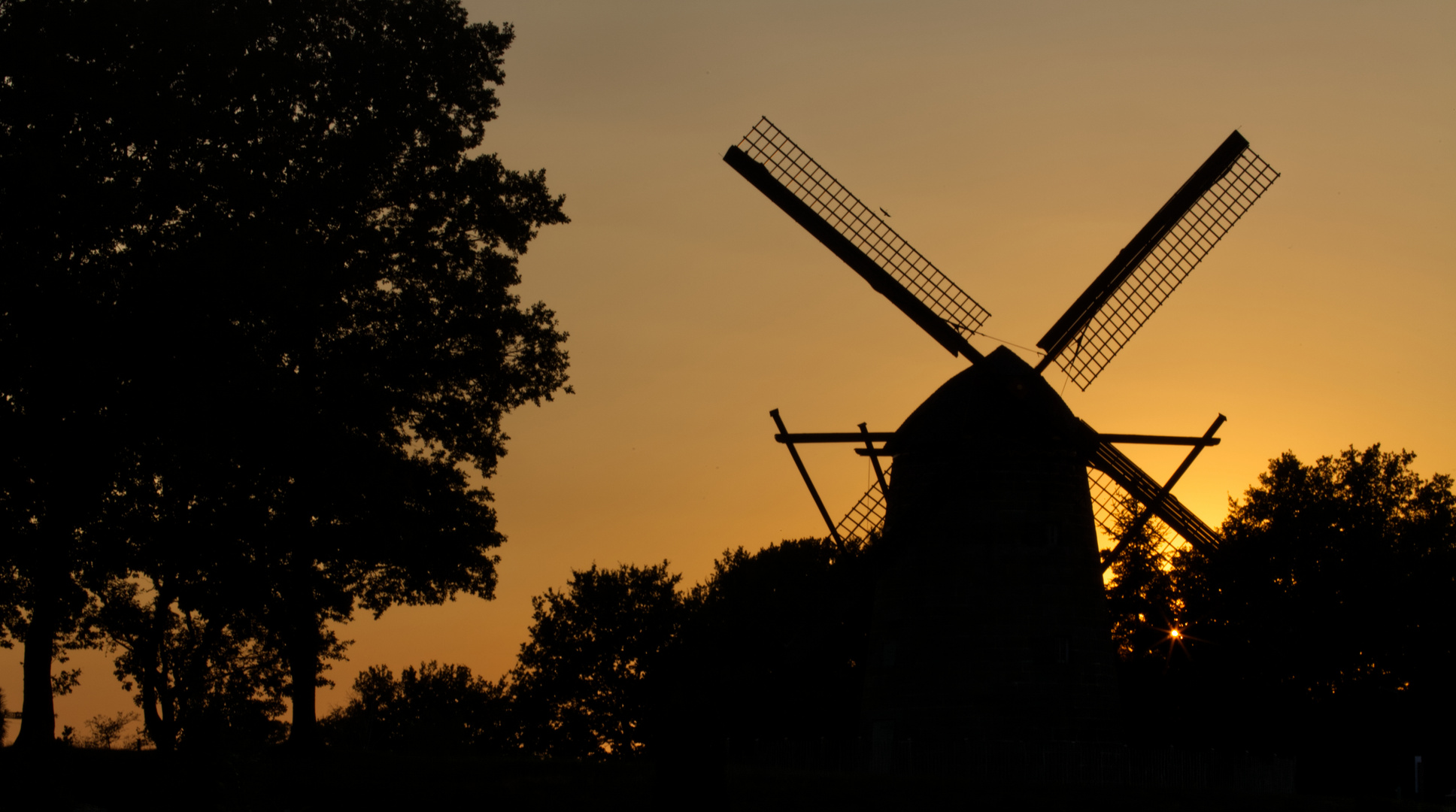 *** Windmühle Uelsen im goldenen Licht ***