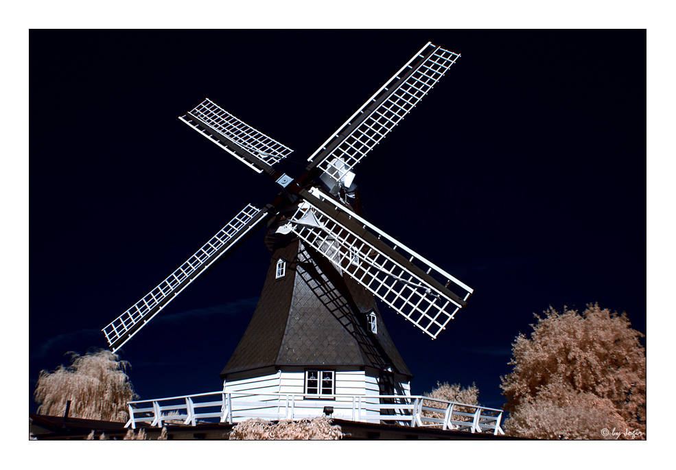 Windmühle und Standesamt in Friedrichskoog