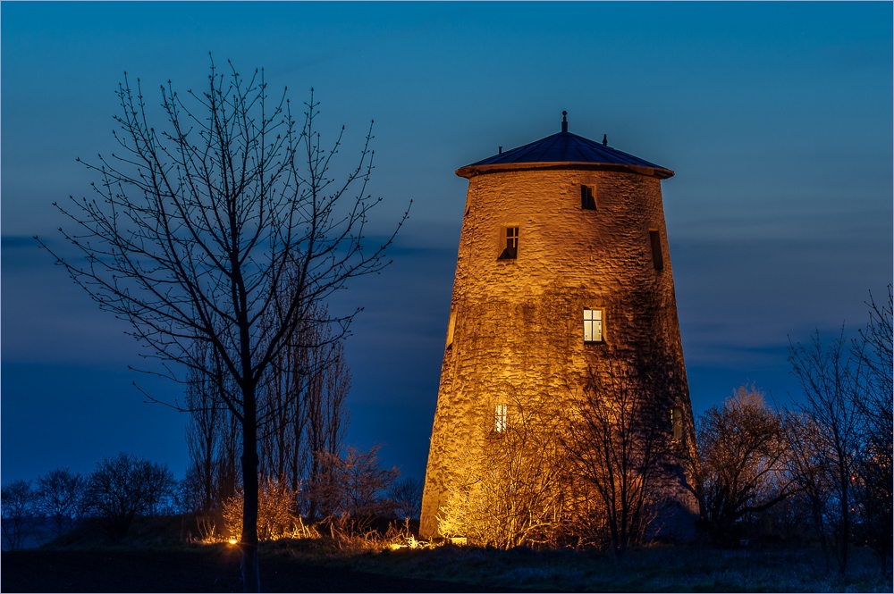 Windmühle Unseburg mit Baum