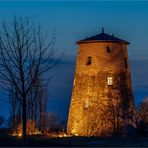 Windmühle Unseburg mit Baum