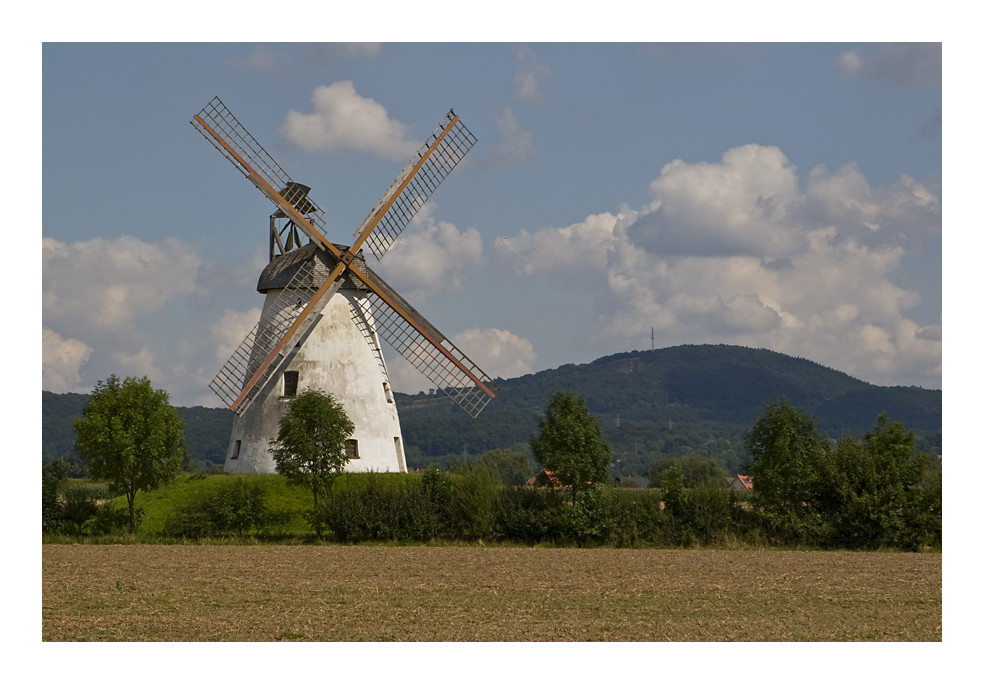 Windmühle Veltheim