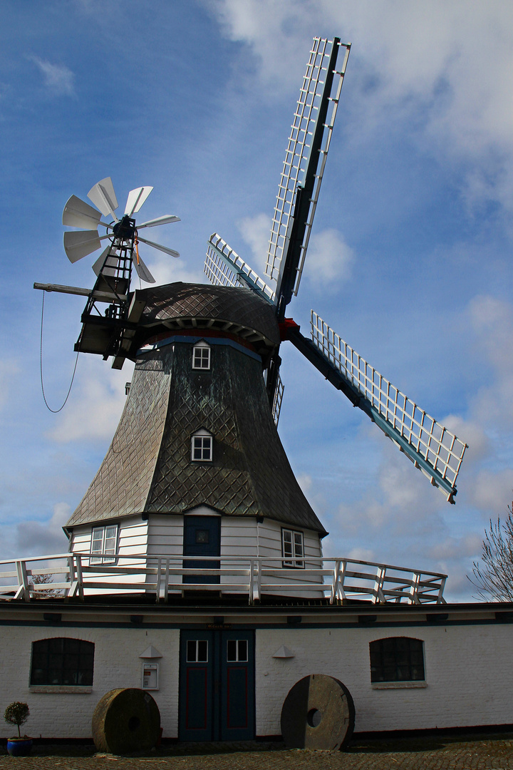 Windmühle Vergißmeinnicht