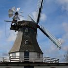 Windmühle Vergißmeinnicht