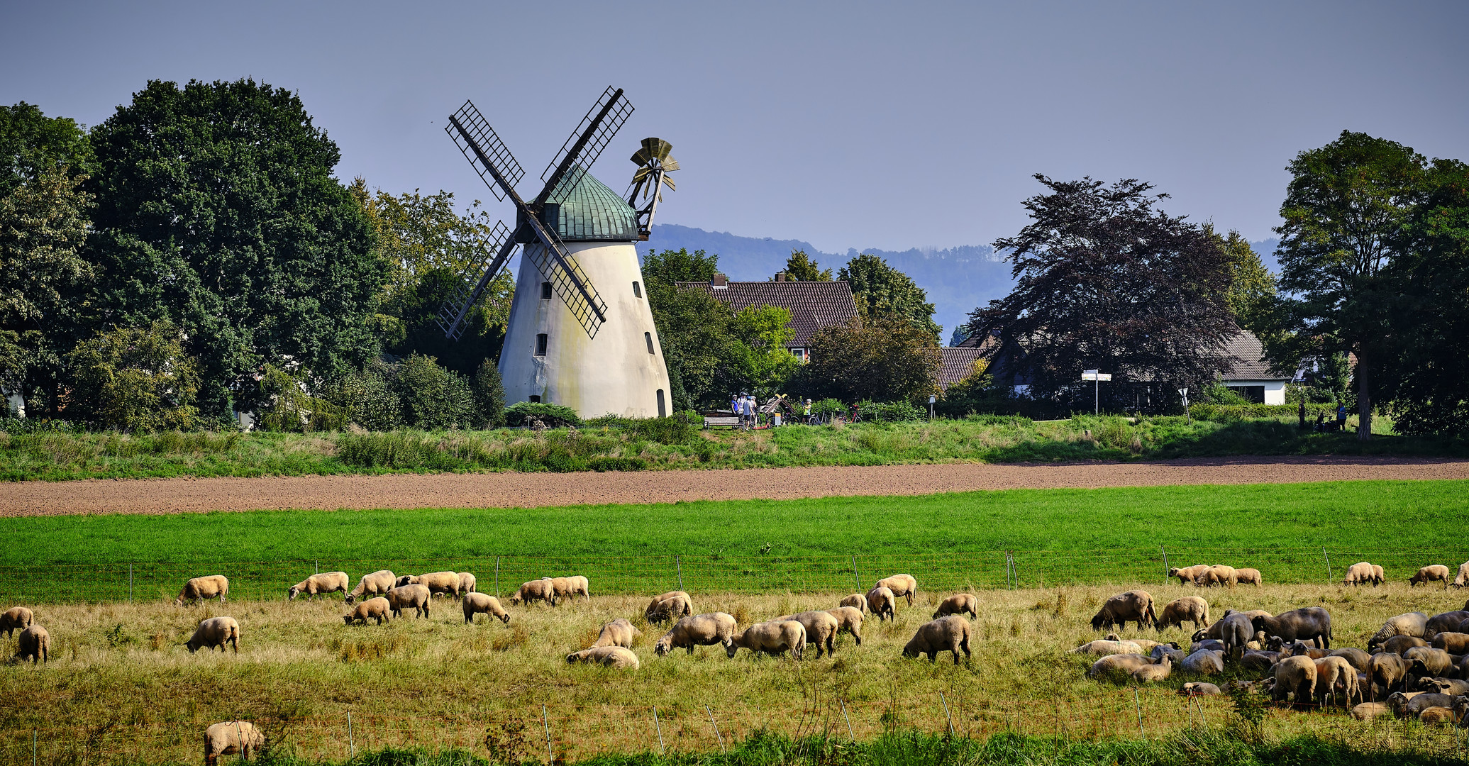 Windmühle von 1883 in Tündern