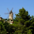 Windmühle von Campanet